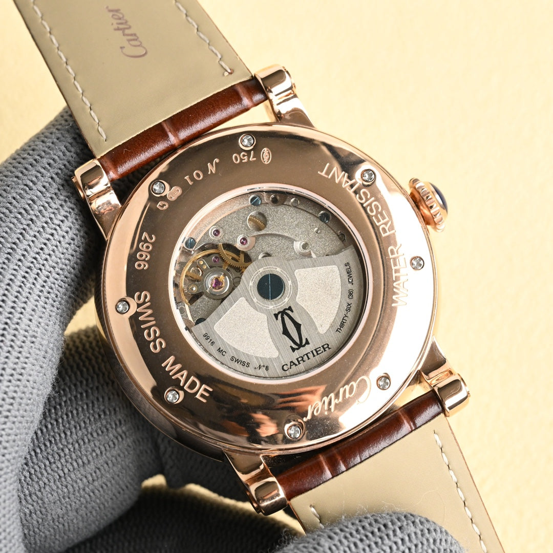 Cartier Earth Series Men's Watch