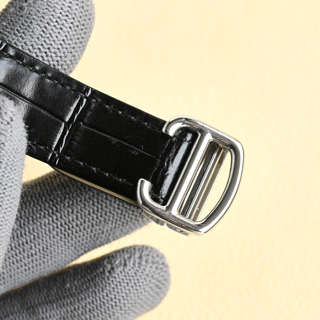 Cartier Earth Series Men's Watch