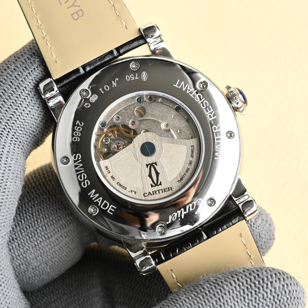 Cartier Earth Series Men's Watch