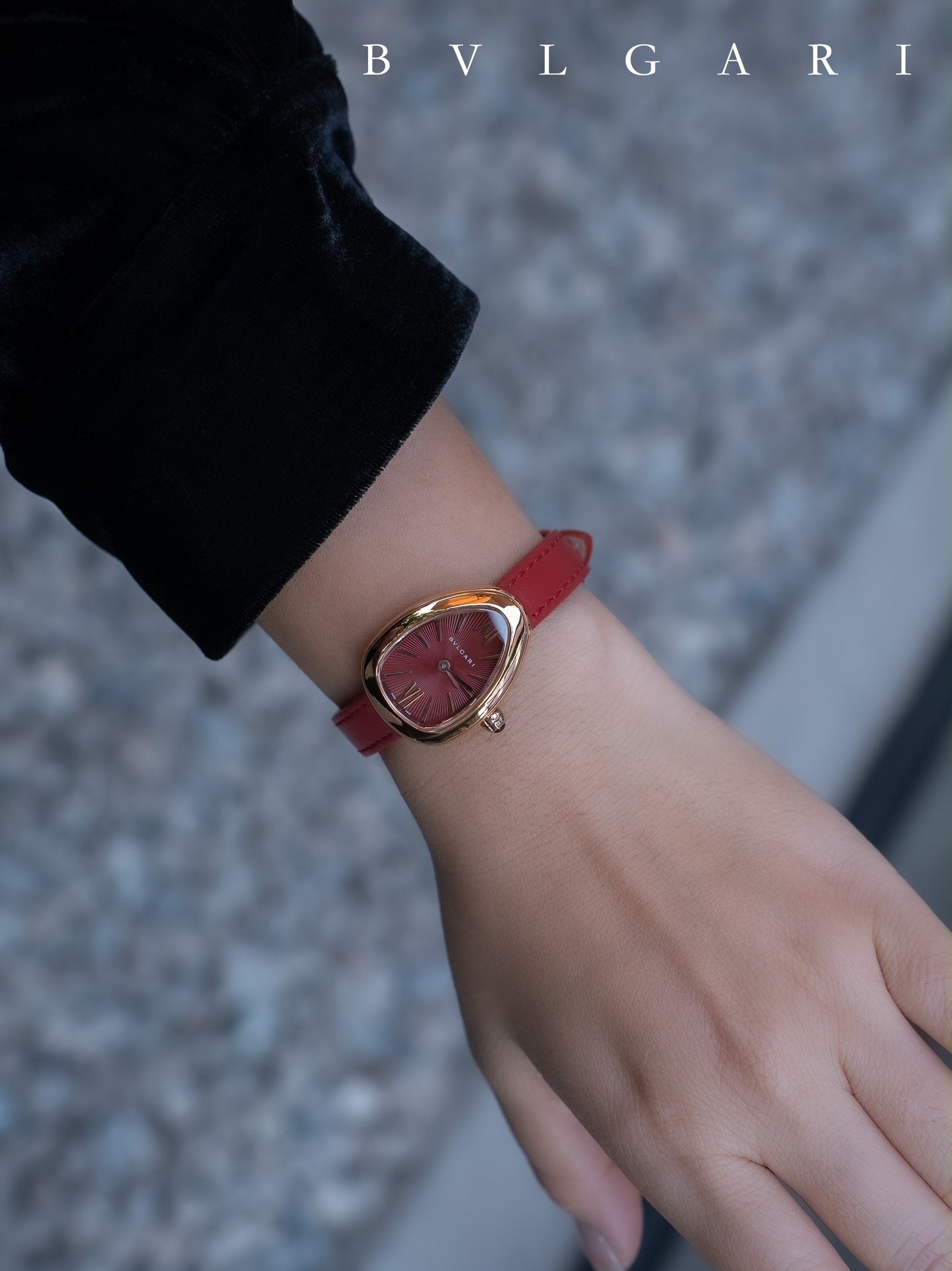 BVLGARI Gold Plated Serpentine Shadow Stainless Steel Watch