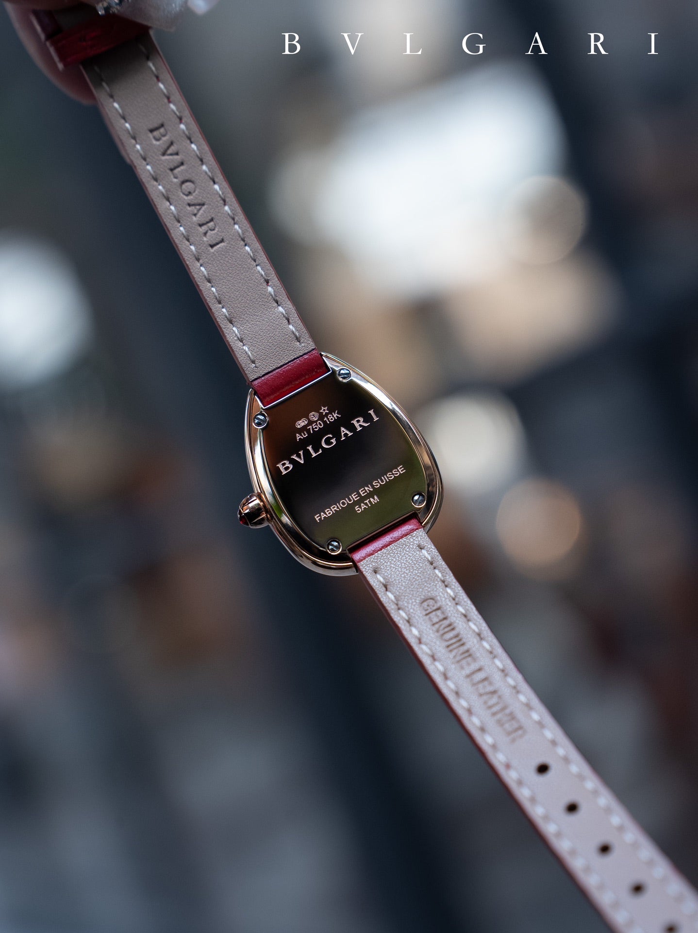 BVLGARI Gold Plated Serpentine Shadow Stainless Steel Watch