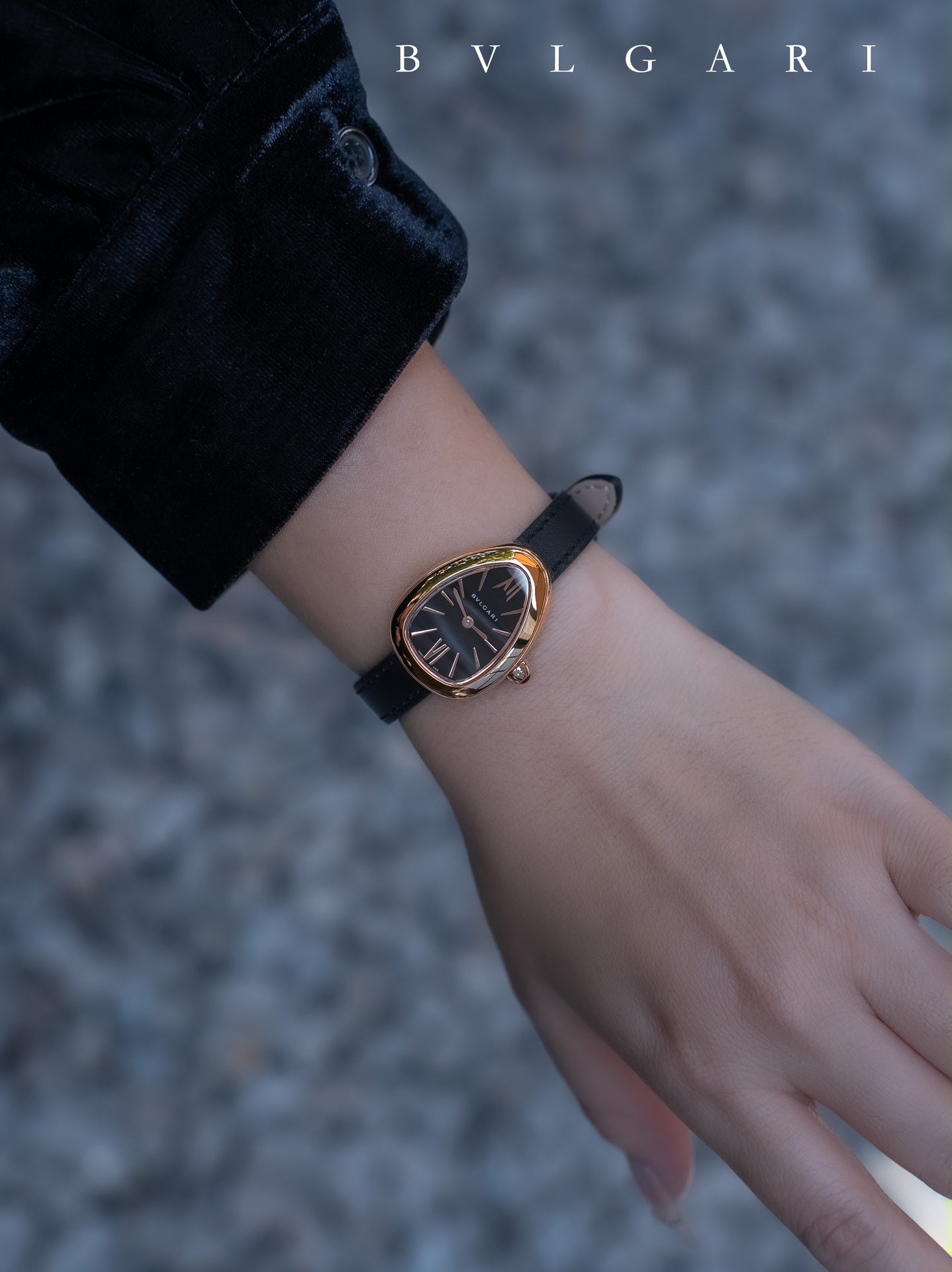 BVLGARI Gold Plated Serpentine Shadow Stainless Steel Watch