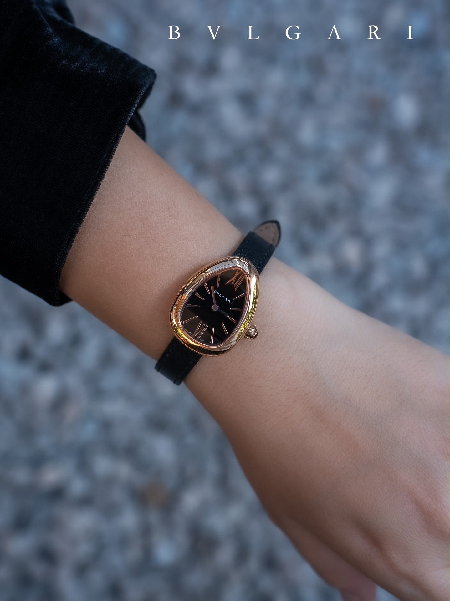 BVLGARI Gold Plated Serpentine Shadow Stainless Steel Watch