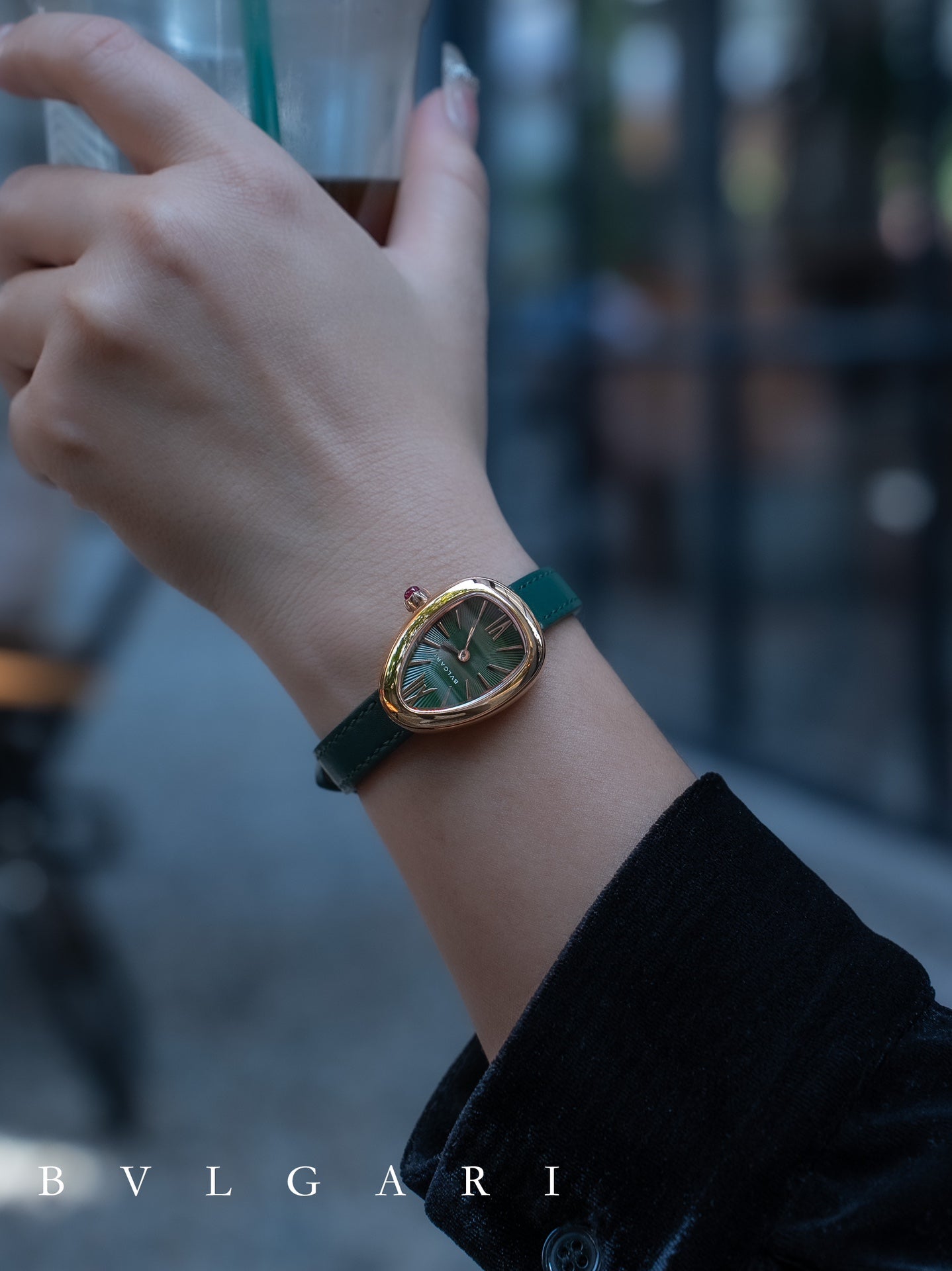 BVLGARI Gold Plated Serpentine Shadow Stainless Steel Watch