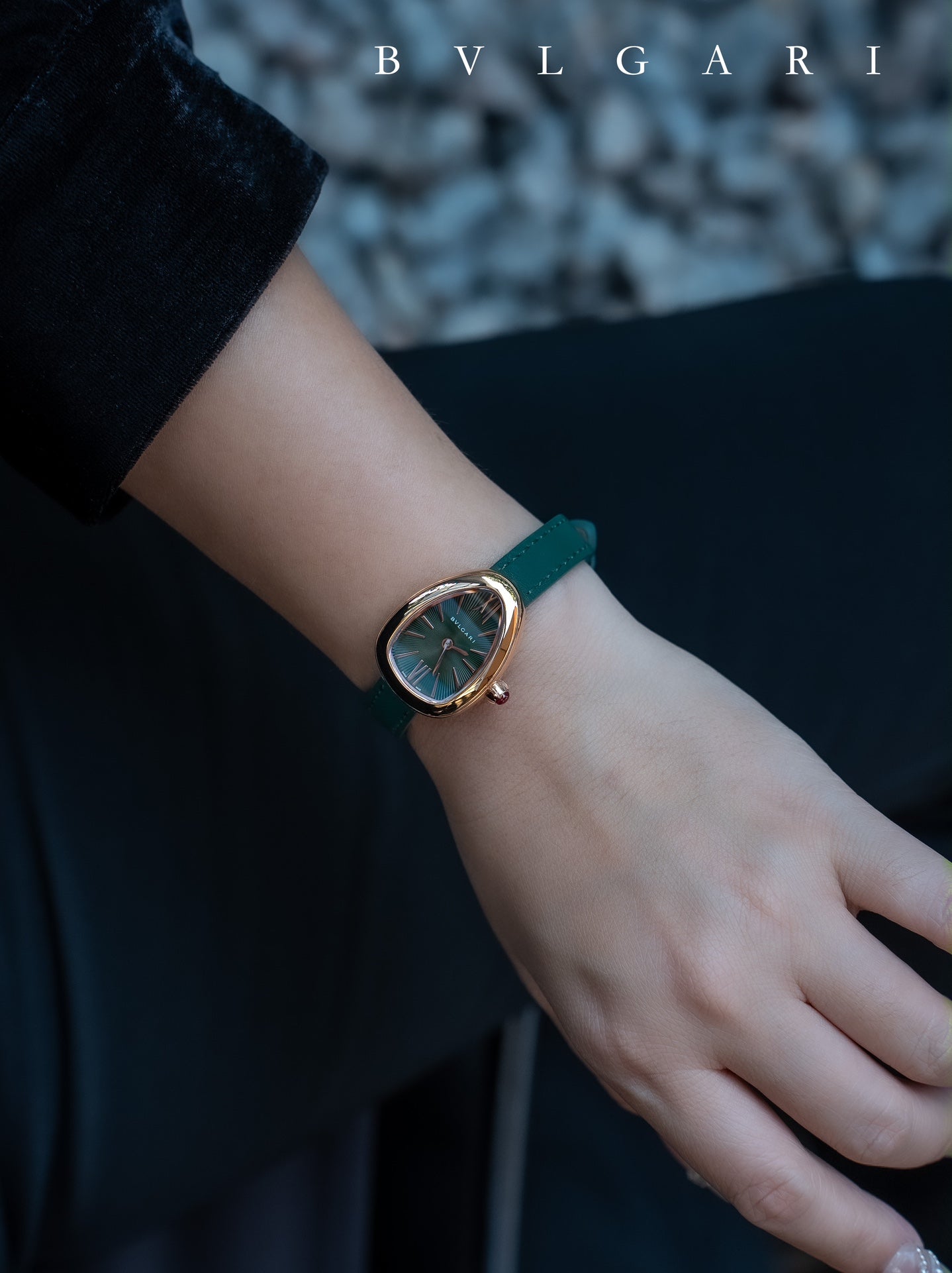 BVLGARI Gold Plated Serpentine Shadow Stainless Steel Watch