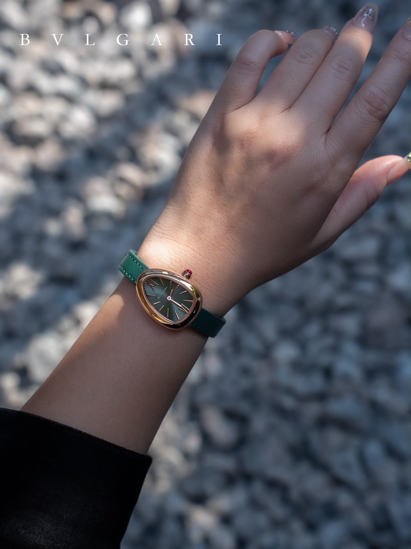 BVLGARI Gold Plated Serpentine Shadow Stainless Steel Watch