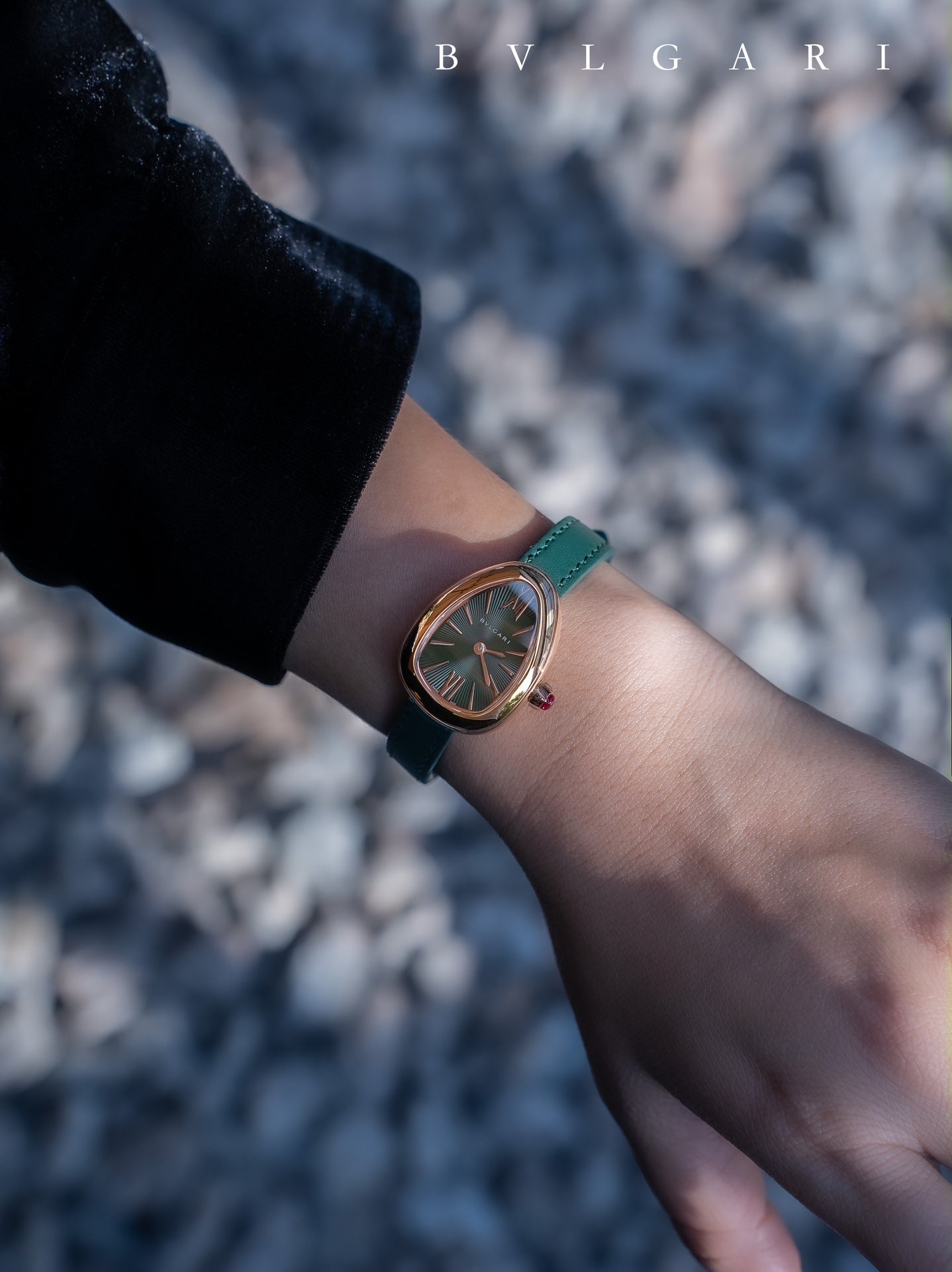 BVLGARI Gold Plated Serpentine Shadow Stainless Steel Watch