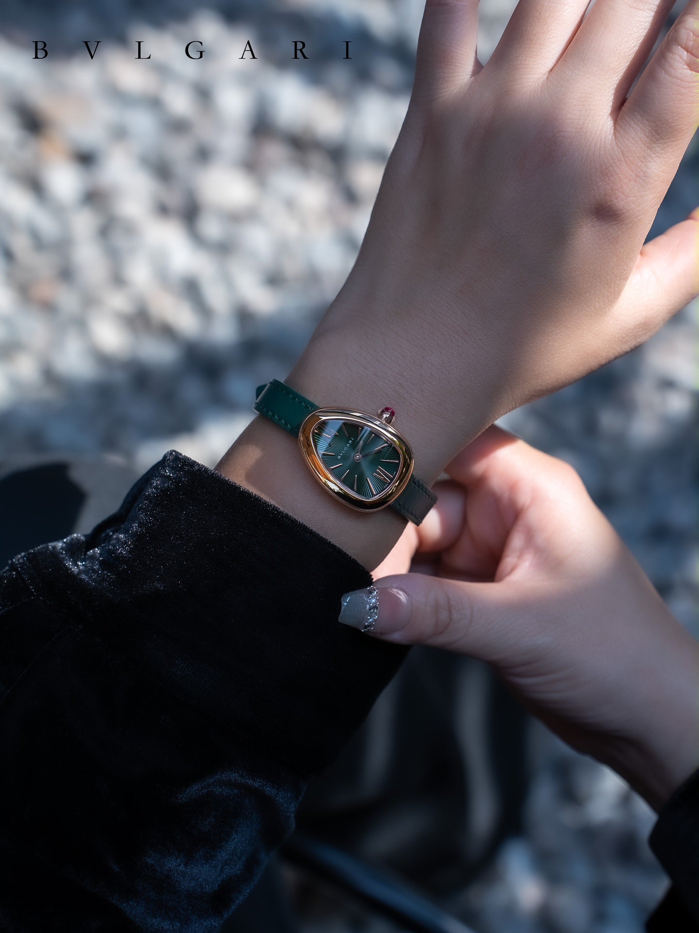 BVLGARI Gold Plated Serpentine Shadow Stainless Steel Watch