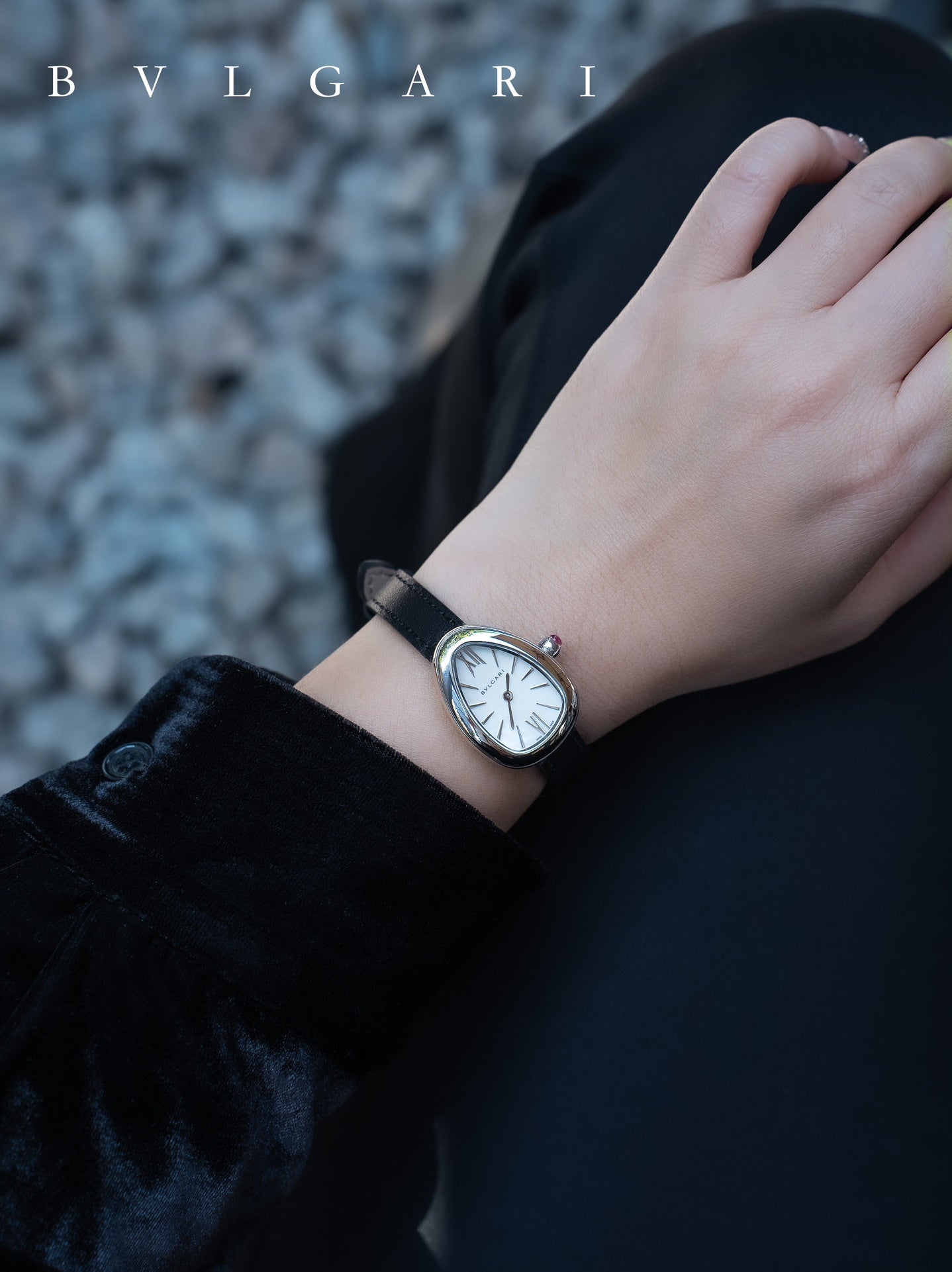 BVLGARI Gold Plated Serpentine Shadow Stainless Steel Watch