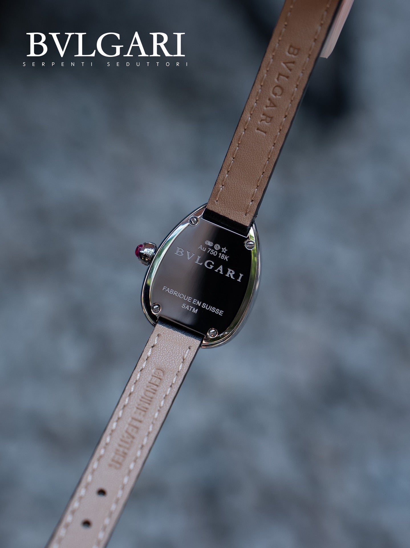 BVLGARI Gold Plated Serpentine Shadow Stainless Steel Watch