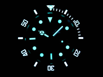 DIW Custom Rolex Submariner Parakeet Wrist Watch
