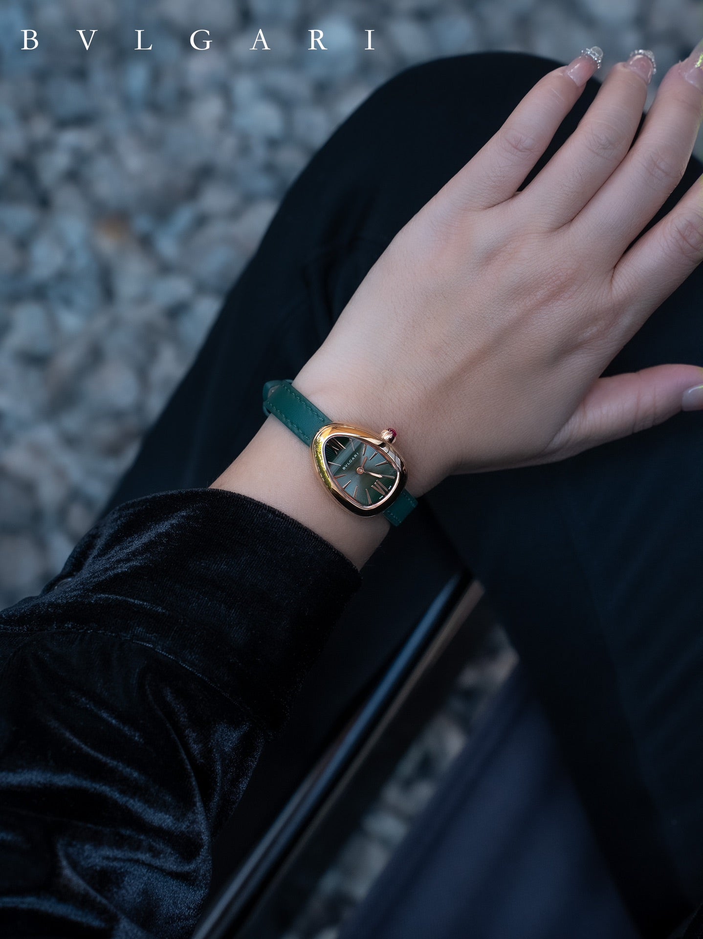 BVLGARI Gold Plated Serpentine Shadow Stainless Steel Watch